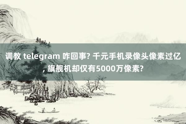 调教 telegram 咋回事? 千元手机录像头像素过亿， 旗舰机却仅有5000万像素?