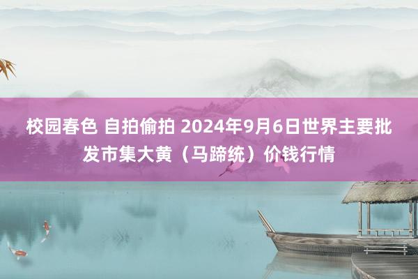 校园春色 自拍偷拍 2024年9月6日世界主要批发市集大黄（马蹄统）价钱行情