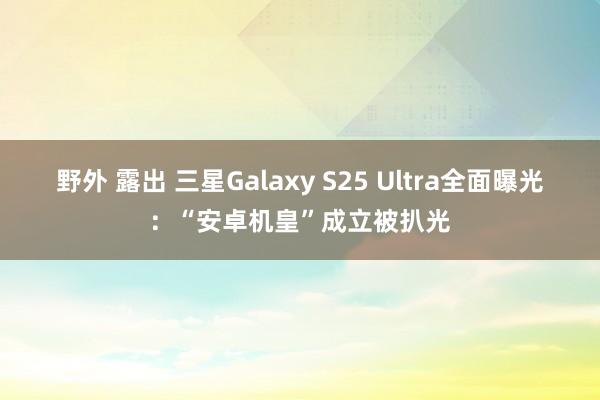 野外 露出 三星Galaxy S25 Ultra全面曝光：“安卓机皇”成立被扒光