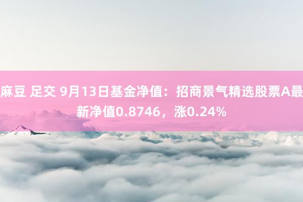 麻豆 足交 9月13日基金净值：招商景气精选股票A最新净值0.8746，涨0.24%