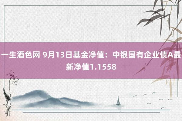 一生酒色网 9月13日基金净值：中银国有企业债A最新净值1.1558