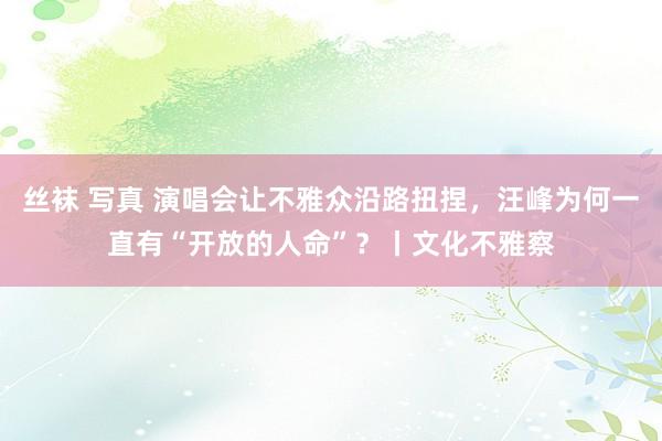 丝袜 写真 演唱会让不雅众沿路扭捏，汪峰为何一直有“开放的人命”？丨文化不雅察