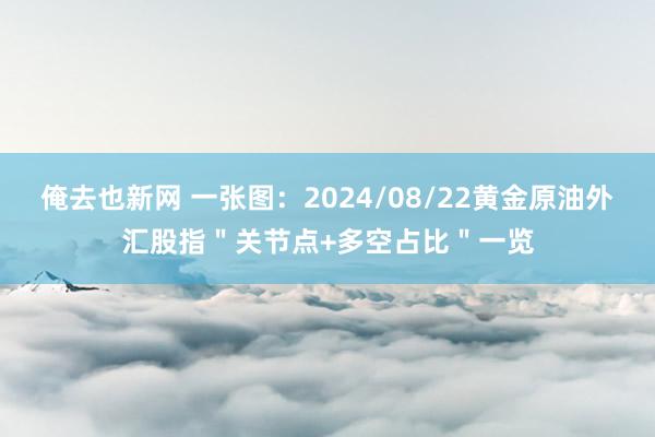 俺去也新网 一张图：2024/08/22黄金原油外汇股指＂关节点+多空占比＂一览