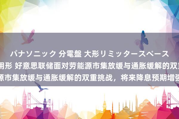 パナソニック 分電盤 大形リミッタースペースなし 露出・半埋込両用形 好意思联储面对劳能源市集放缓与通胀缓解的双重挑战，将来降息预期增强