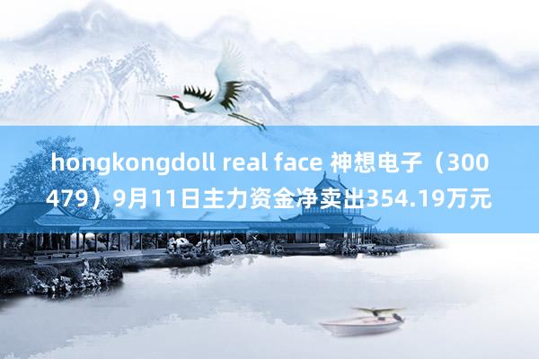 hongkongdoll real face 神想电子（300479）9月11日主力资金净卖出354.19万元