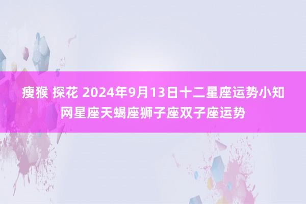 瘦猴 探花 2024年9月13日十二星座运势小知网星座天蝎座狮子座双子座运势