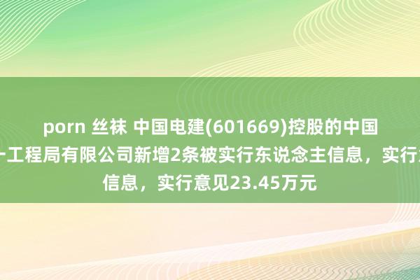 porn 丝袜 中国电建(601669)控股的中国水利水电第十一工程局有限公司新增2条被实行东说念主信息，实行意见23.45万元