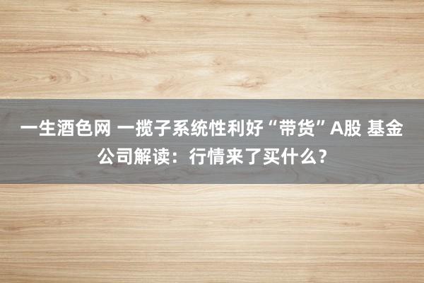 一生酒色网 一揽子系统性利好“带货”A股 基金公司解读：行情来了买什么？