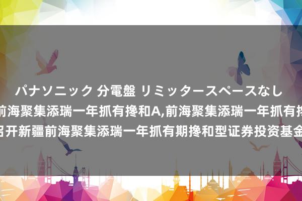 パナソニック 分電盤 リミッタースペースなし 露出・半埋込両用形 前海聚集添瑞一年抓有搀和A，前海聚集添瑞一年抓有搀和C: 对于以通信边幅召开新疆前海聚集添瑞一年抓有期搀和型证券投资基金基金份额抓有东说念主大会的第二次教导性公告