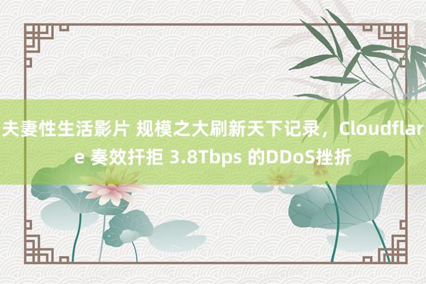 夫妻性生活影片 规模之大刷新天下记录，Cloudflare 奏效扞拒 3.8Tbps 的DDoS挫折