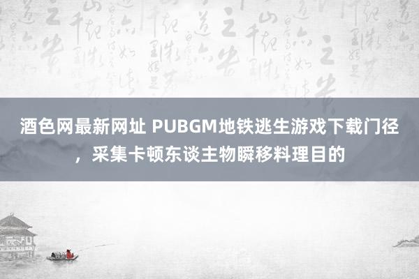 酒色网最新网址 PUBGM地铁逃生游戏下载门径，采集卡顿东谈主物瞬移料理目的