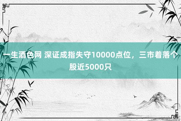 一生酒色网 深证成指失守10000点位，三市着落个股近5000只