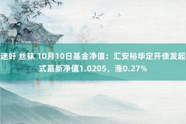 迷奸 丝袜 10月10日基金净值：汇安裕华定开债发起式最新净值1.0205，涨0.27%