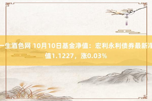 一生酒色网 10月10日基金净值：宏利永利债券最新净值1.1227，涨0.03%