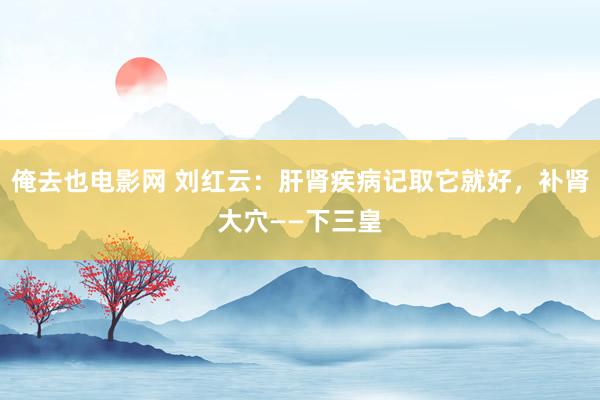 俺去也电影网 刘红云：肝肾疾病记取它就好，补肾大穴——下三皇