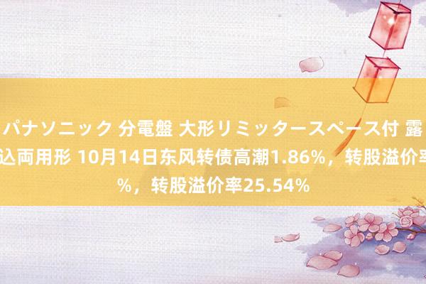 パナソニック 分電盤 大形リミッタースペース付 露出・半埋込両用形 10月14日东风转债高潮1.86%，转股溢价率25.54%