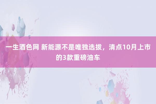 一生酒色网 新能源不是唯独选拔，清点10月上市的3款重磅油车