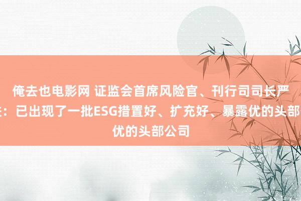 俺去也电影网 证监会首席风险官、刊行司司长严伯进：已出现了一批ESG措置好、扩充好、暴露优的头部公司