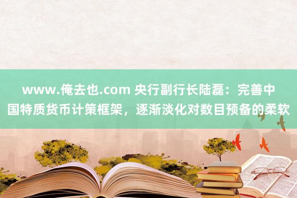 www.俺去也.com 央行副行长陆磊：完善中国特质货币计策框架，逐渐淡化对数目预备的柔软