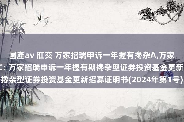 國產av 肛交 万家招瑞申诉一年握有搀杂A，万家招瑞申诉一年握有搀杂C: 万家招瑞申诉一年握有期搀杂型证券投资基金更新招募证明书(2024年第1号)