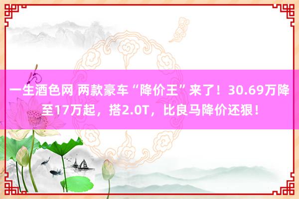 一生酒色网 两款豪车“降价王”来了！30.69万降至17万起，搭2.0T，比良马降价还狠！