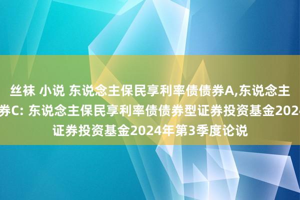 丝袜 小说 东说念主保民享利率债债券A，东说念主保民享利率债债券C: 东说念主保民享利率债债券型证券投资基金2024年第3季度论说