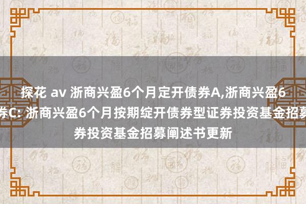 探花 av 浙商兴盈6个月定开债券A，浙商兴盈6个月定开债券C: 浙商兴盈6个月按期绽开债券型证券投资基金招募阐述书更新