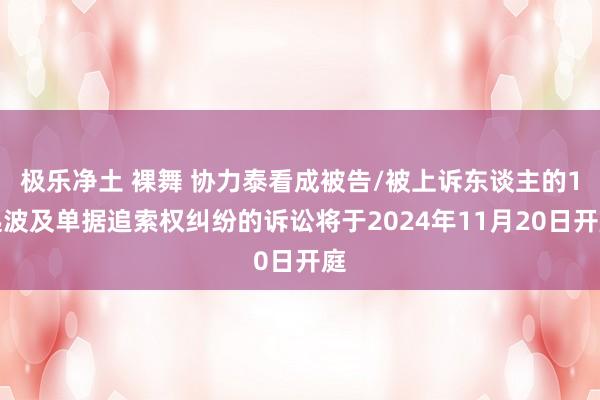 极乐净土 裸舞 协力泰看成被告/被上诉东谈主的1起波及单据追索权纠纷的诉讼将于2024年11月20日开庭