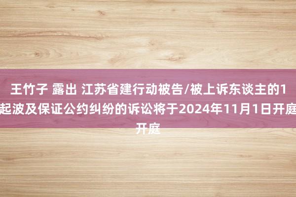 王竹子 露出 江苏省建行动被告/被上诉东谈主的1起波及保证公约纠纷的诉讼将于2024年11月1日开庭