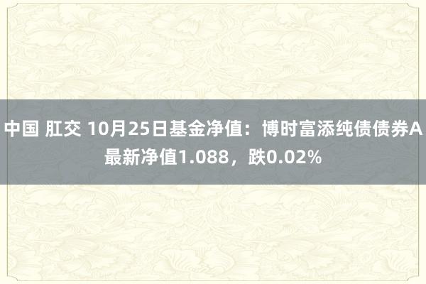 中国 肛交 10月25日基金净值：博时富添纯债债券A最新净值1.088，跌0.02%