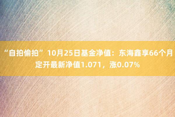 “自拍偷拍” 10月25日基金净值：东海鑫享66个月定开最新净值1.071，涨0.07%