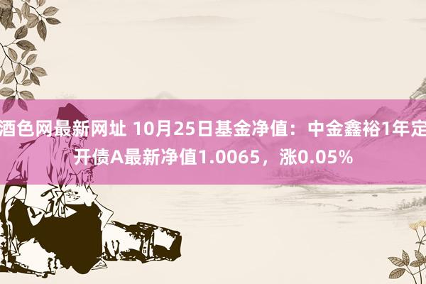 酒色网最新网址 10月25日基金净值：中金鑫裕1年定开债A最新净值1.0065，涨0.05%