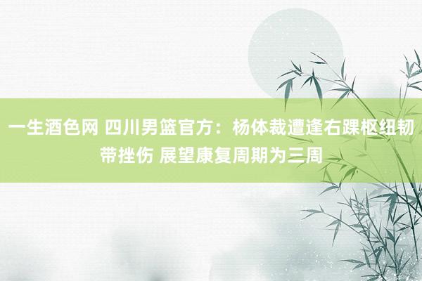 一生酒色网 四川男篮官方：杨体裁遭逢右踝枢纽韧带挫伤 展望康复周期为三周