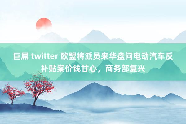 巨屌 twitter 欧盟将派员来华盘问电动汽车反补贴案价钱甘心，商务部复兴