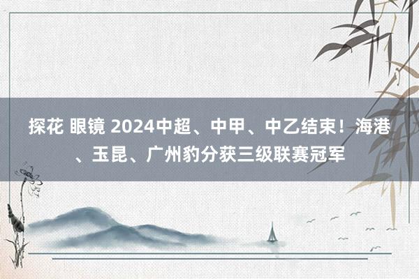 探花 眼镜 2024中超、中甲、中乙结束！海港、玉昆、广州豹分获三级联赛冠军