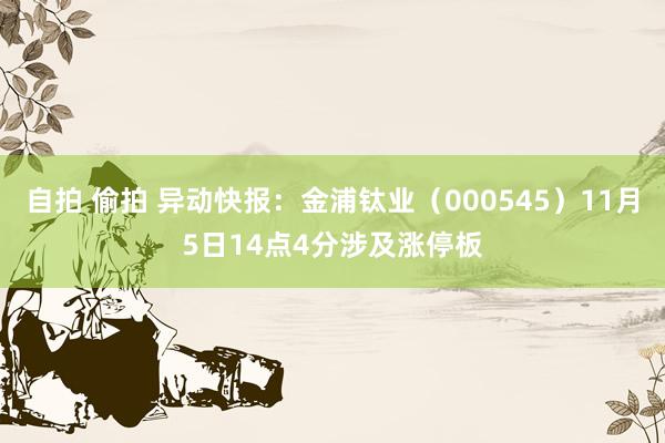 自拍 偷拍 异动快报：金浦钛业（000545）11月5日14点4分涉及涨停板