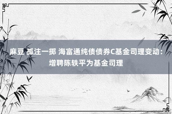 麻豆 孤注一掷 海富通纯债债券C基金司理变动：增聘陈轶平为基金司理