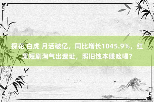 探花 白虎 月活破亿，同比增长1045.9%，红果短剧淘气出遗址，照旧蚀本赚吆喝？