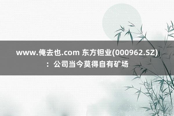 www.俺去也.com 东方钽业(000962.SZ)：公司当今莫得自有矿场