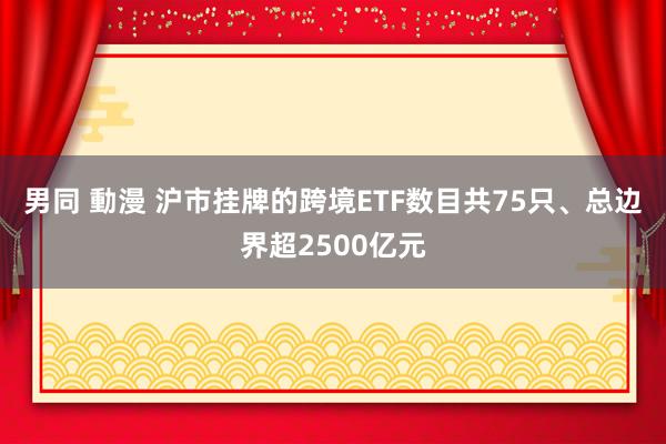 男同 動漫 沪市挂牌的跨境ETF数目共75只、总边界超2500亿元