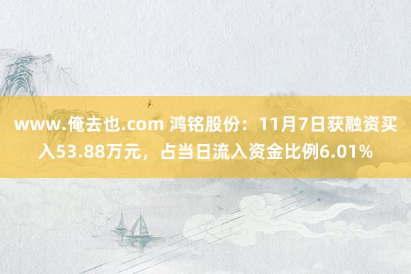 www.俺去也.com 鸿铭股份：11月7日获融资买入53.88万元，占当日流入资金比例6.01%