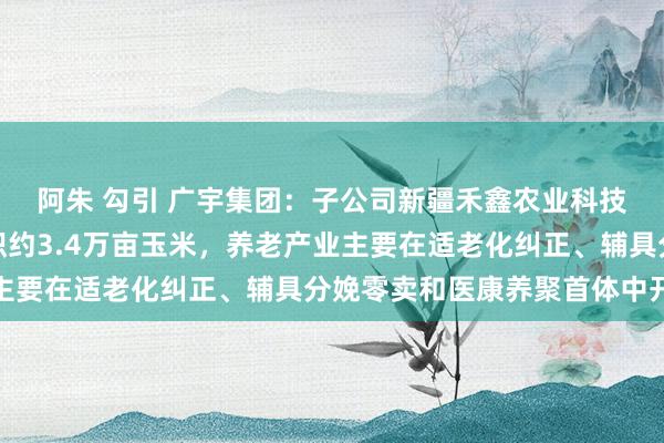 阿朱 勾引 广宇集团：子公司新疆禾鑫农业科技有限公司主要栽植面积约3.4万亩玉米，养老产业主要在适老化纠正、辅具分娩零卖和医康养聚首体中开展