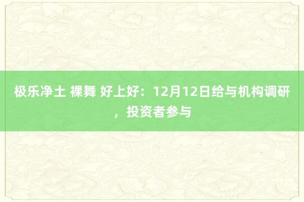 极乐净土 裸舞 好上好：12月12日给与机构调研，投资者参与