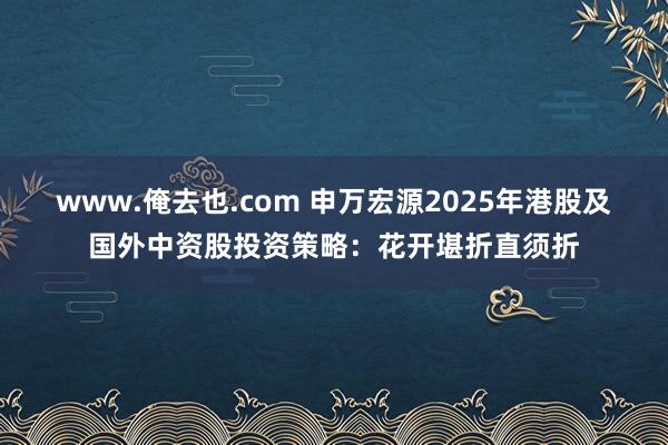 www.俺去也.com 申万宏源2025年港股及国外中资股投资策略：花开堪折直须折