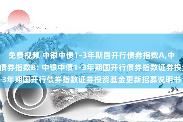 免费视频 中银中债1-3年期国开行债券指数A，中银中债1-3年期国开行债券指数B: 中银中债1-3年期国开行债券指数证券投资基金更新招募说明书