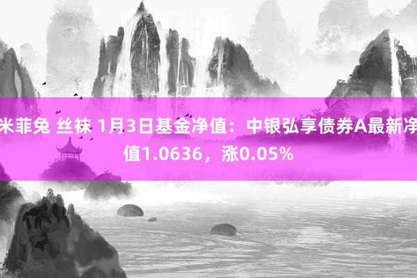 米菲兔 丝袜 1月3日基金净值：中银弘享债券A最新净值1.0636，涨0.05%