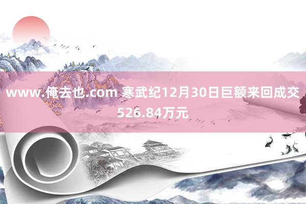 www.俺去也.com 寒武纪12月30日巨额来回成交526.84万元