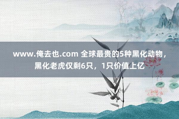 www.俺去也.com 全球最贵的5种黑化动物，黑化老虎仅剩6只，1只价值上亿