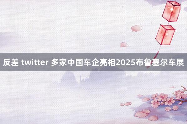 反差 twitter 多家中国车企亮相2025布鲁塞尔车展